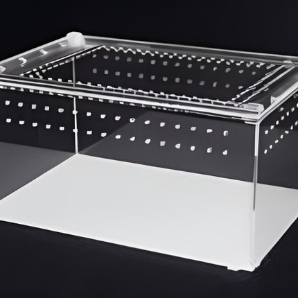 Magnetic Acrylic Reptile Box