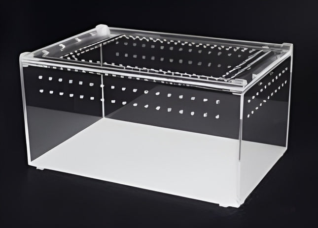 Magnetic Acrylic Reptile Box