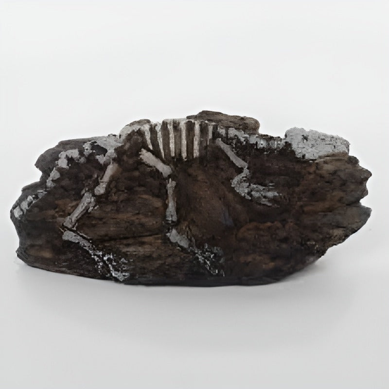 Nomoy Prehistoric Dinosaur Decor (NS)