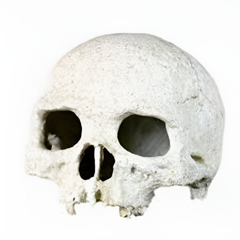 Nomoy Resin Skull Head (NS-73)