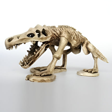 Nomoy Prehistoric Dinosaur Decor (NS)