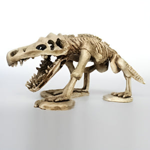 Nomoy Prehistoric Dinosaur Decor (NS)