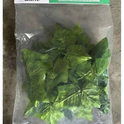 Nomoy Simulation Hanging Plants (NFF)