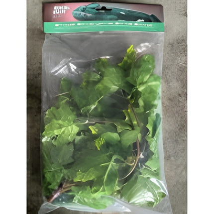 Nomoy Simulation Hanging Plants (NFF)