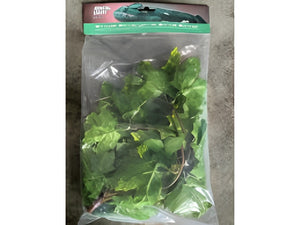 Nomoy Simulation Hanging Plants (NFF)