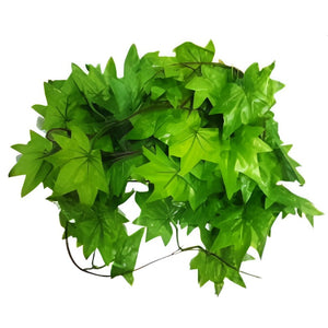 Nomoy Simulation Hanging Plants (NFF)