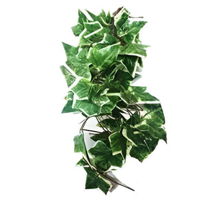 Nomoy Simulation Hanging Plants (NFF)
