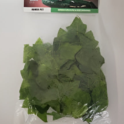 Nomoy Simulation Hanging Plants (NFF)