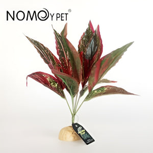 Nomoy Simulation Plant (NFF)