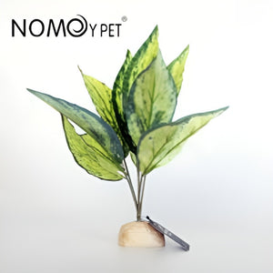 Nomoy Simulation Plant (NFF)