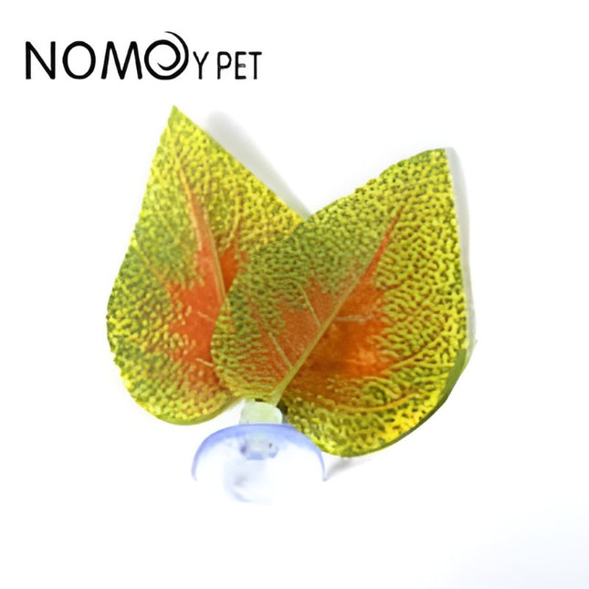 Nomoy Moss Accent Plant (NFF)