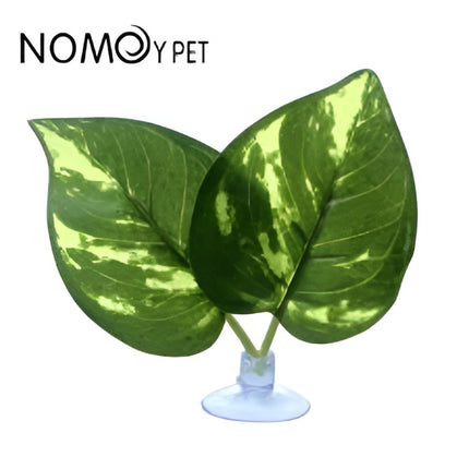 Nomoy Moss Accent Plant (NFF)