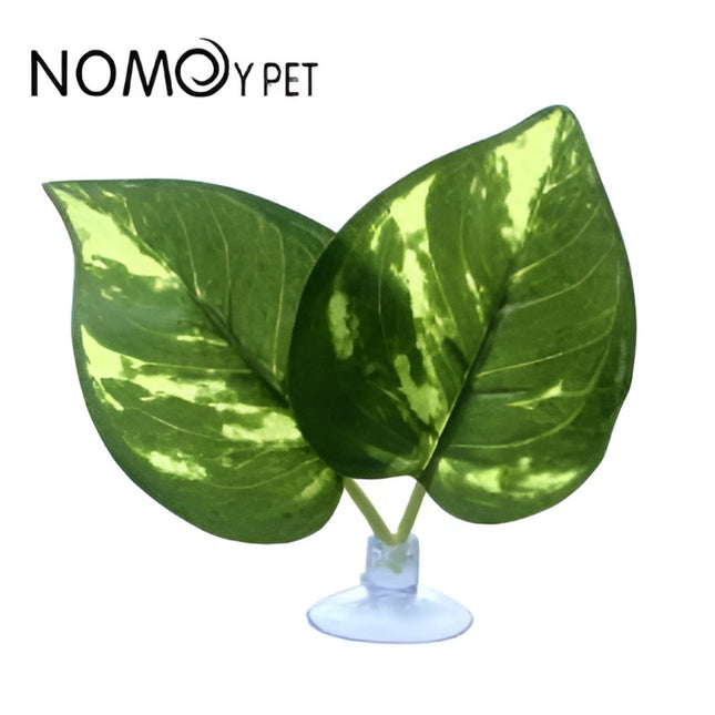 Nomoy Moss Accent Plant (NFF)