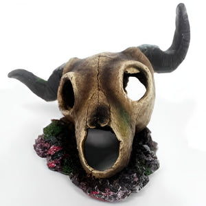 Nomoy Exotic Skull Hideout (NS)