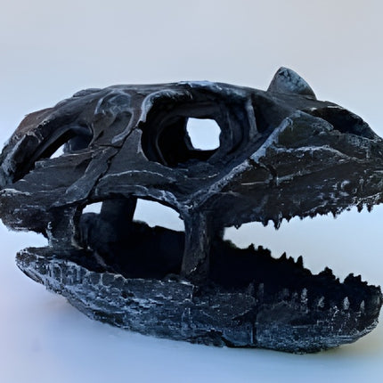 Nomoy Resin Skull Decor (NS)