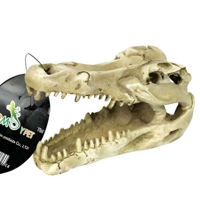 Nomoy Resin Skull Decor (NS)