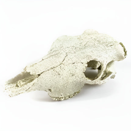 Nomoy Resin Skull Decor (NS)