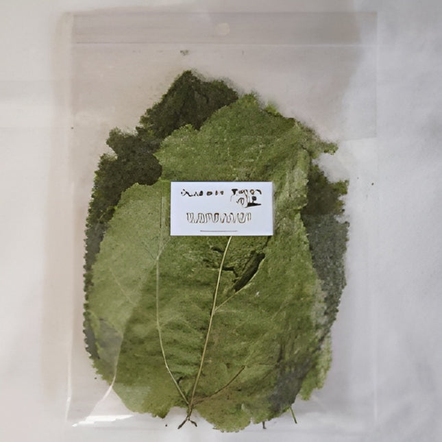 NatureBoys Mulberry Leaves