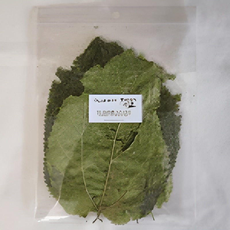 NatureBoys Mulberry Leaves