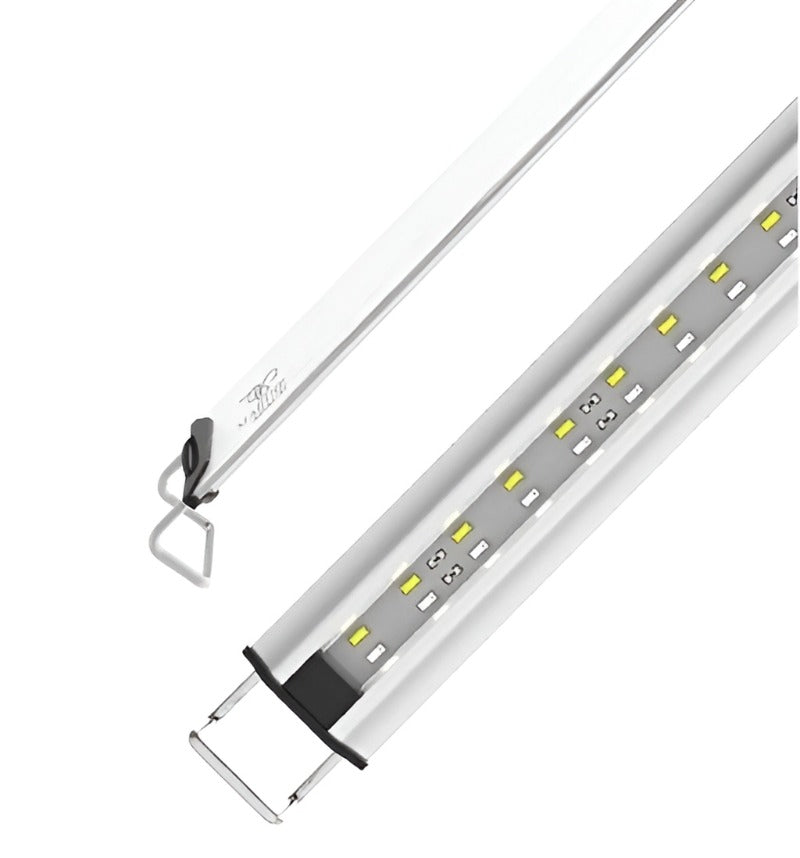 Zetlight – Dorry Pets