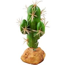 Nomoy Cactus Plants (QM)