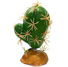 Nomoy Cactus Plants (QM)