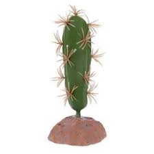 Nomoy Cactus Plants (QM)