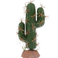 Nomoy Cactus Plants (QM)