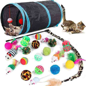 Interactive Cat Tunnel & Stick Set