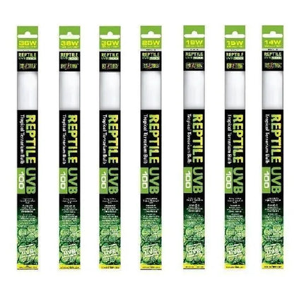 T8 UVB 5.0 Fluorescent Lamp