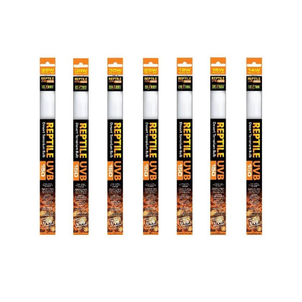 T8 UVB 10.0 Fluorescent Lamp