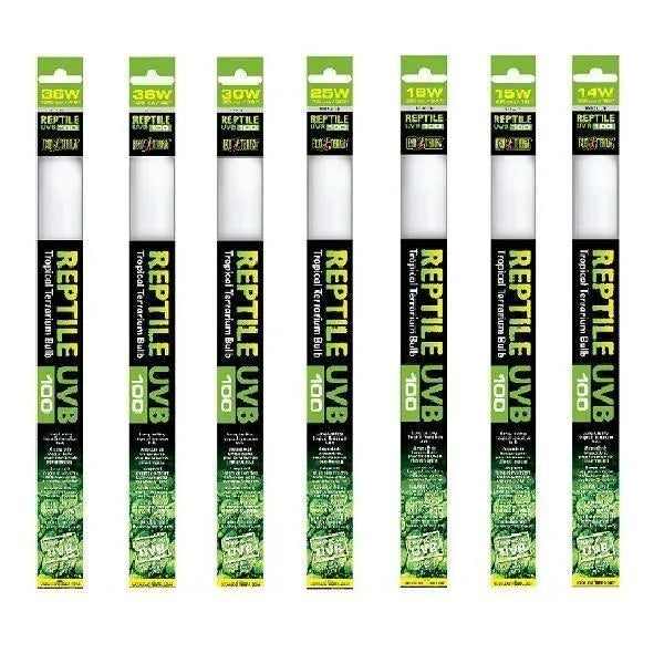 T8 UVB 5.0 Fluorescent Lamp