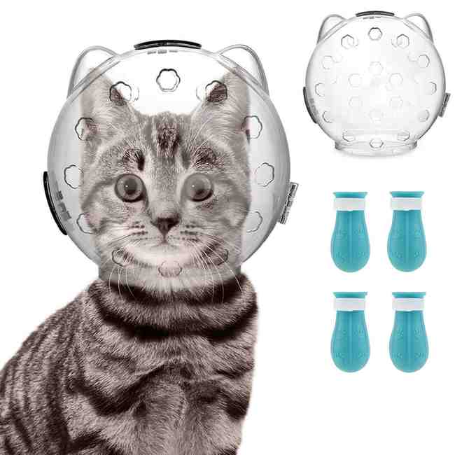 Transparent Cat Muzzle Helmet