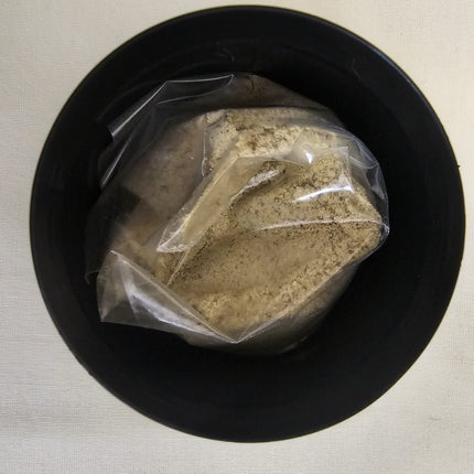 SBF Super Biofilm Food