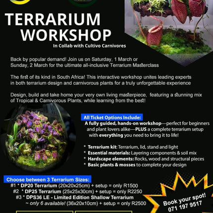 Terarium Workshop
