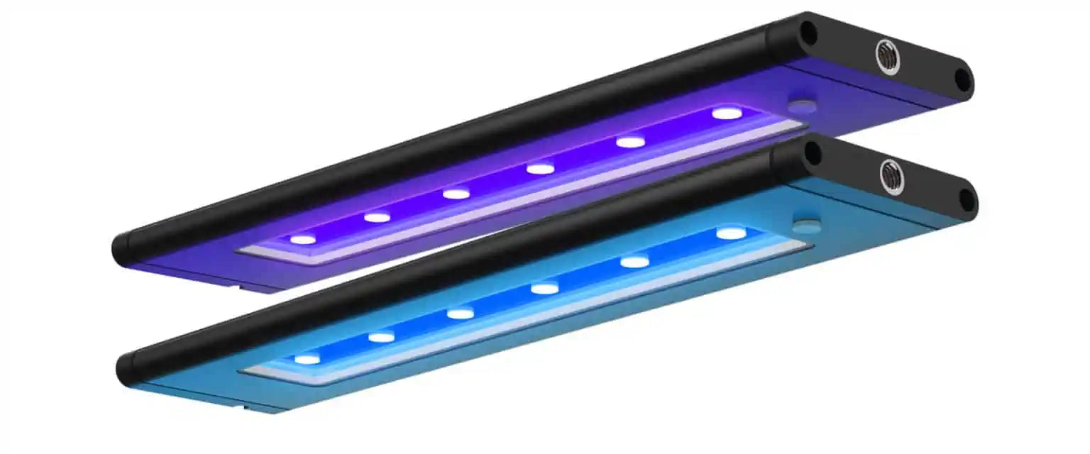 AQUA ILLUMINATION Blade Grow