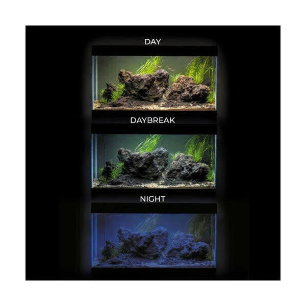 Aquael OPTI SET 240 Aquarium {Tank Only}