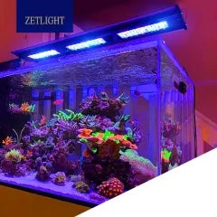 Zetlight Qmaven II Q6-120 Marine LED