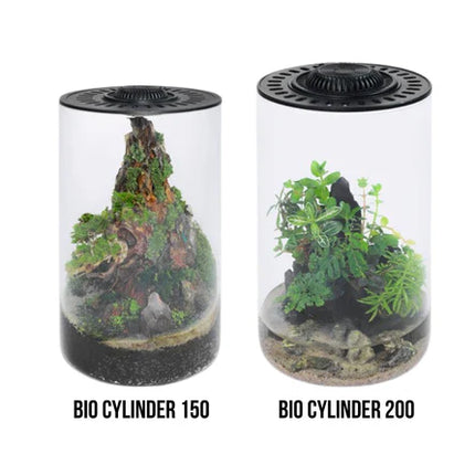 Bio Cylinder Terrarium Kit