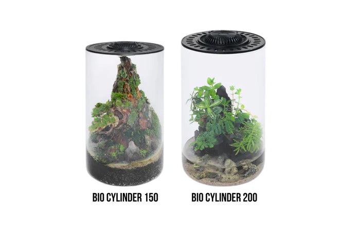 Bio Cylinder Terrarium Kit