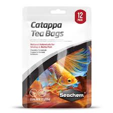 Catappa Tea Bags