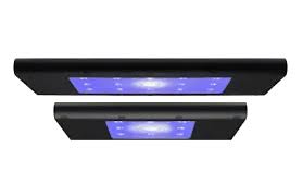 AI Hydra Edge Reef LED Next Gen Light