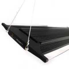 Zetlight Qmaven Q6-90 Marine LED - Dorry Pets