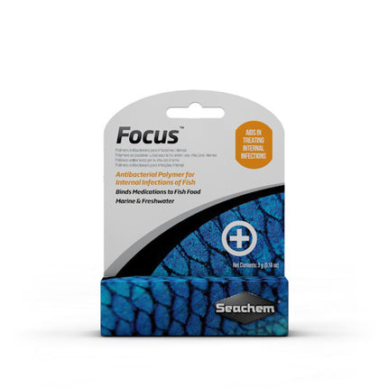 Focus