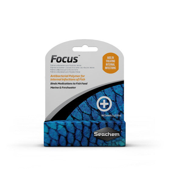 Focus
