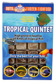 Ruto Tropical Quartet