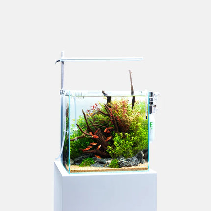 DOOA SOL Stand RGB { C PLUG }