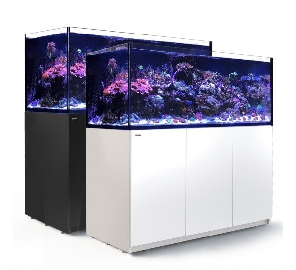 RedSea Reefer G2+ 525