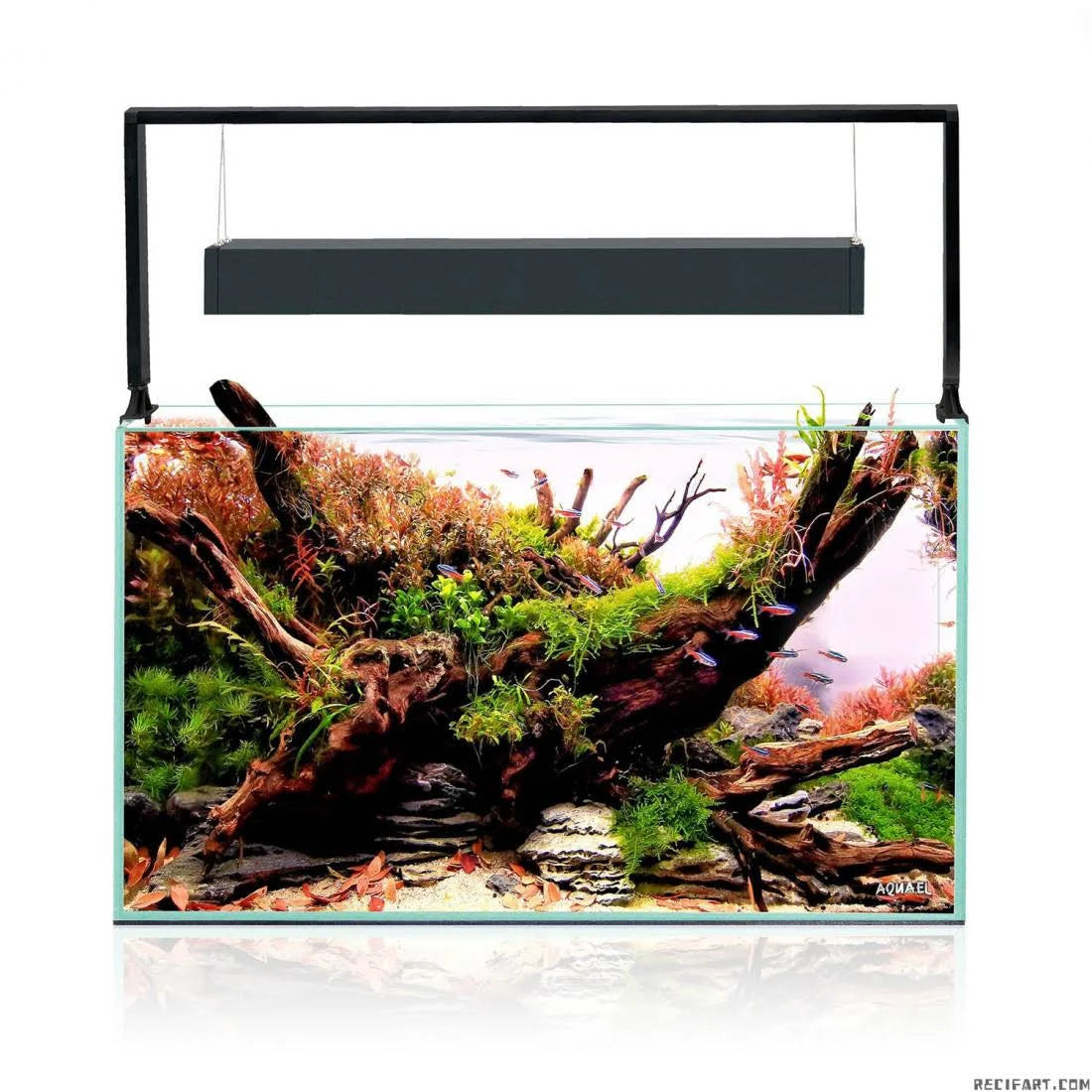 Aquael UltraScape 90 Aquarium Set