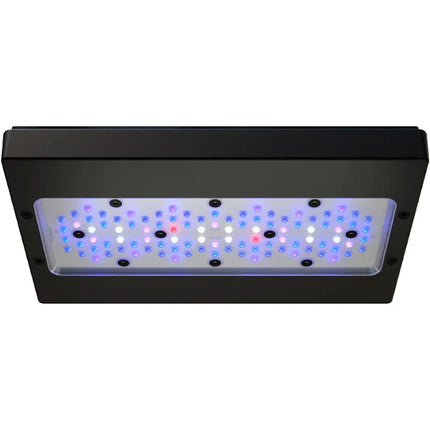 EcoTech Marine Radion XR30 G6 Blue